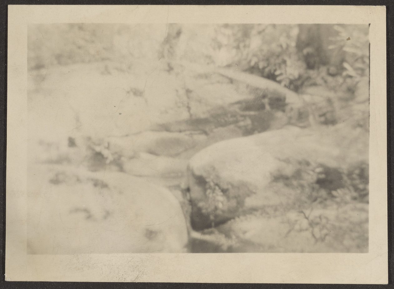 [Paesaggio] da Louis Fleckenstein
