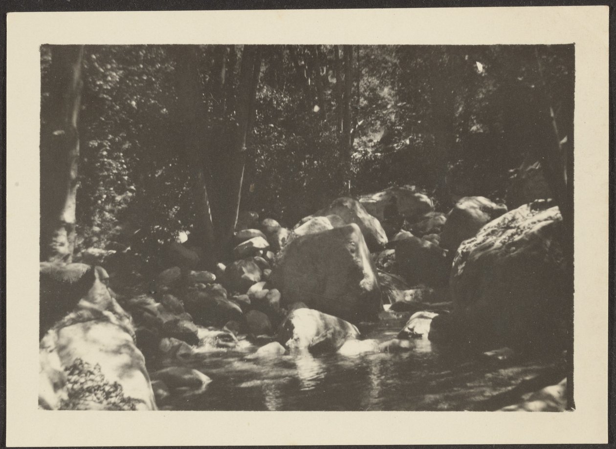 [Paesaggio] da Louis Fleckenstein