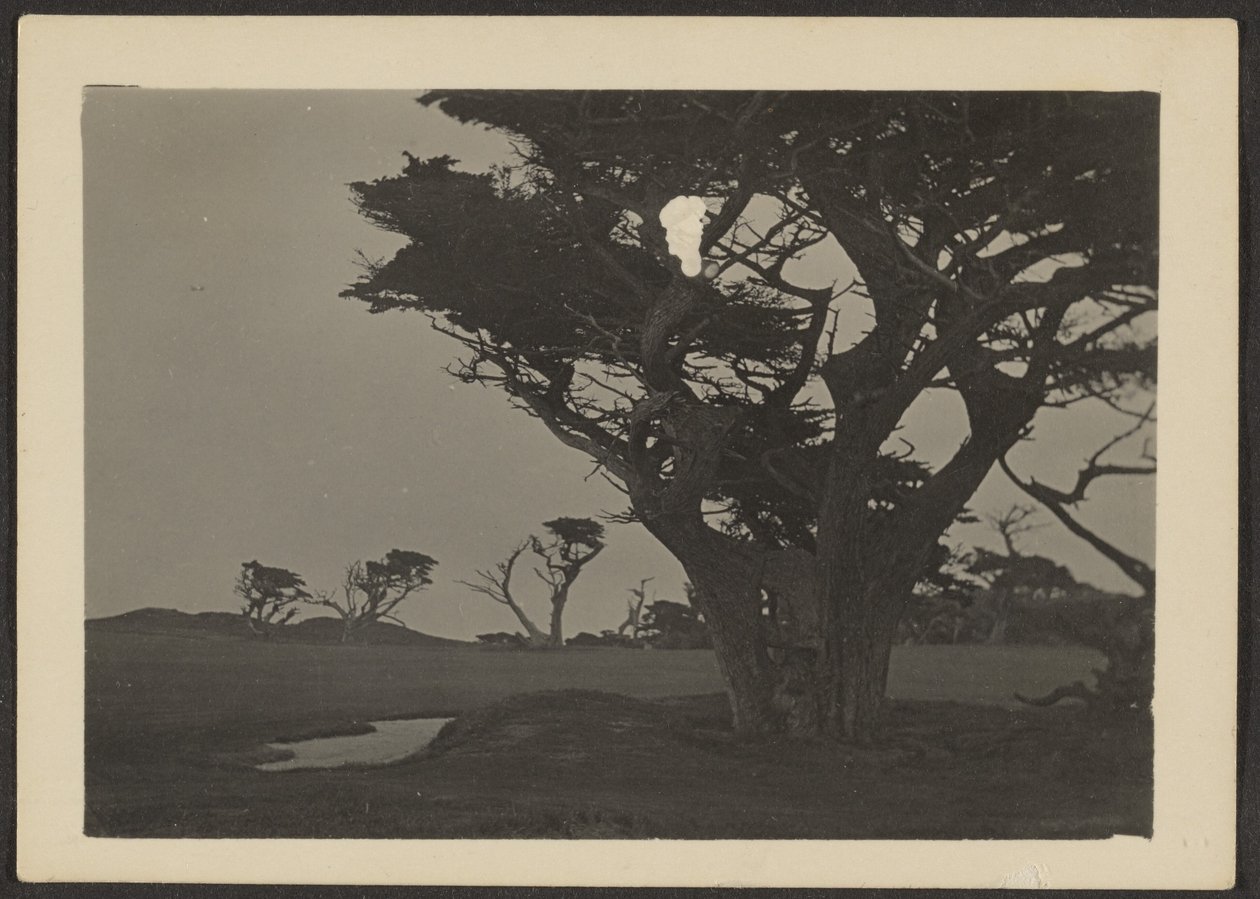 [Paesaggio] da Louis Fleckenstein