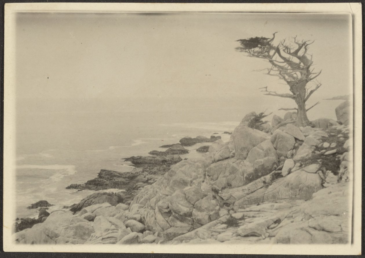 [Paesaggio] da Louis Fleckenstein