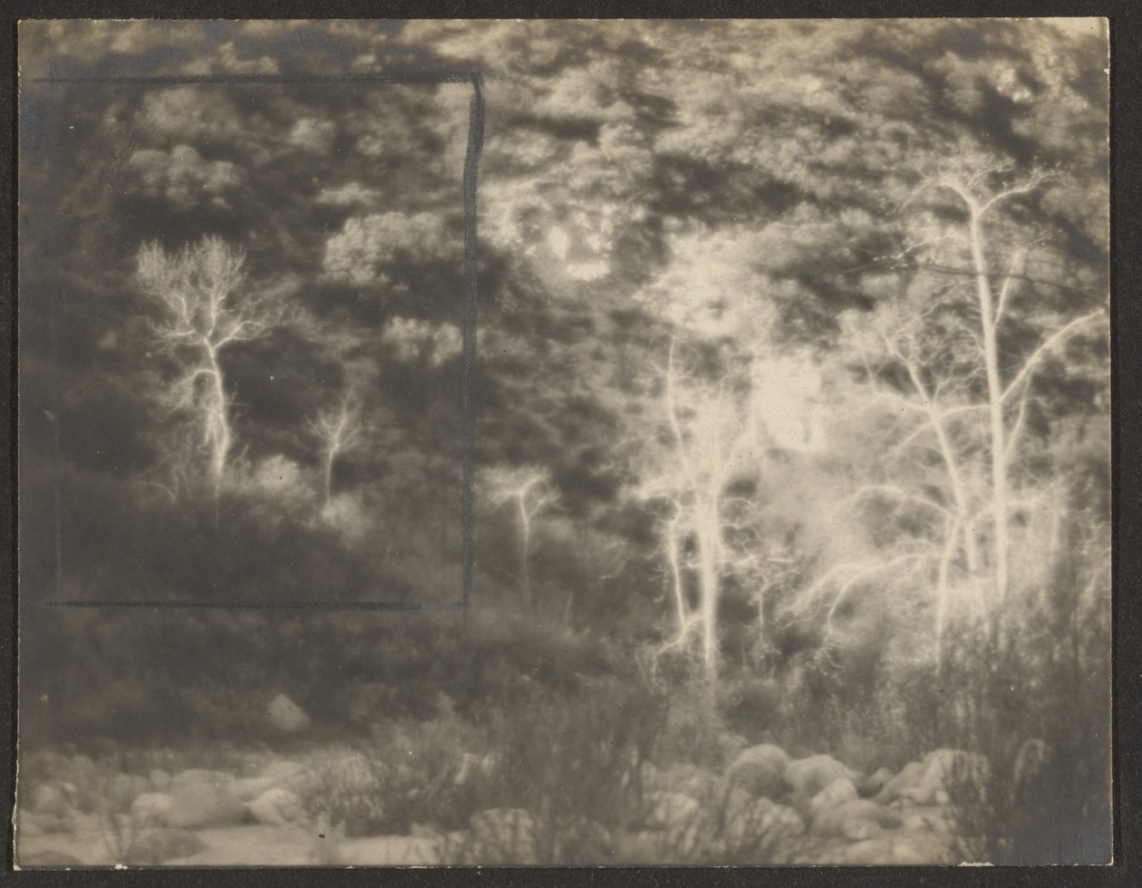 [Paesaggio con alberi chiari] da Louis Fleckenstein