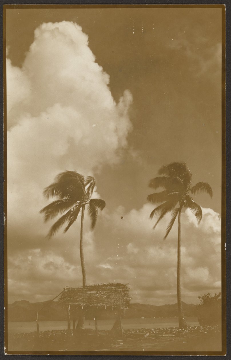 Paesaggio con palme da Louis Fleckenstein