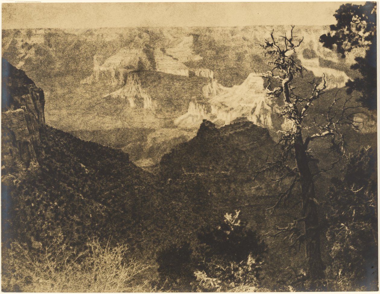 [Paesaggio montano con albero spoglio] da Louis Fleckenstein