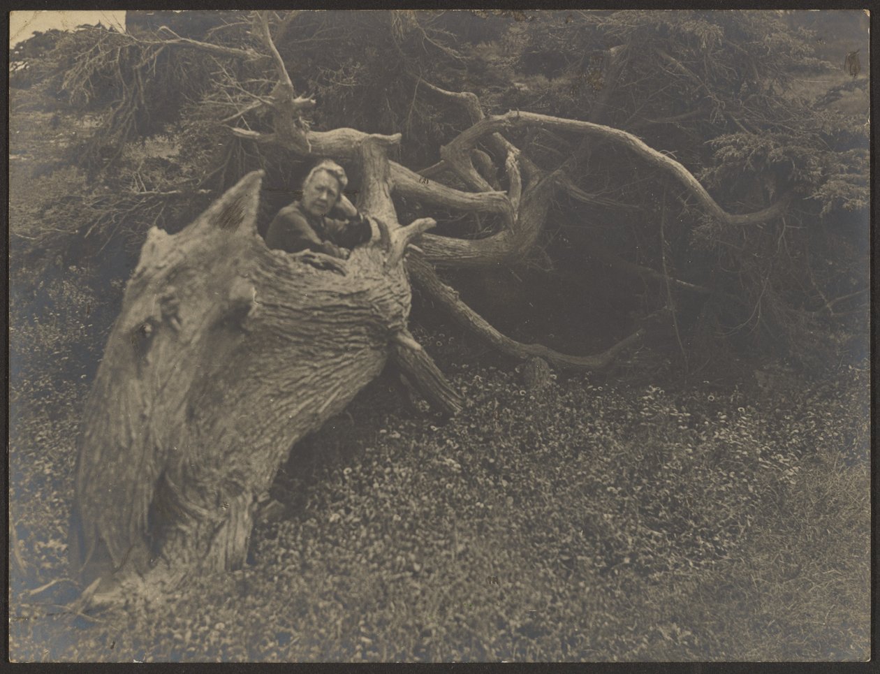 [La signora Fleckenstein appoggiata a un grande albero caduto] da Louis Fleckenstein