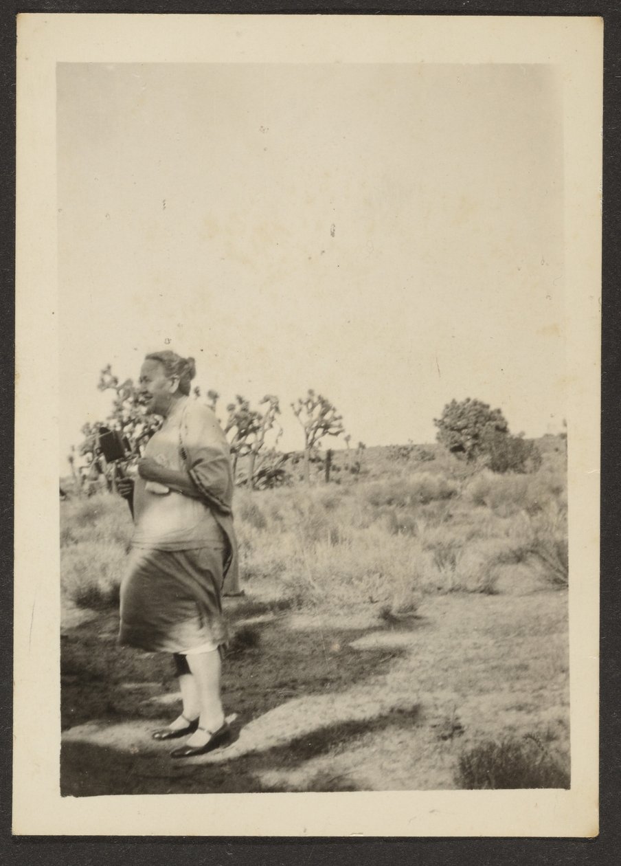 [Mrs Fleckenstein in Landscape] da Louis Fleckenstein