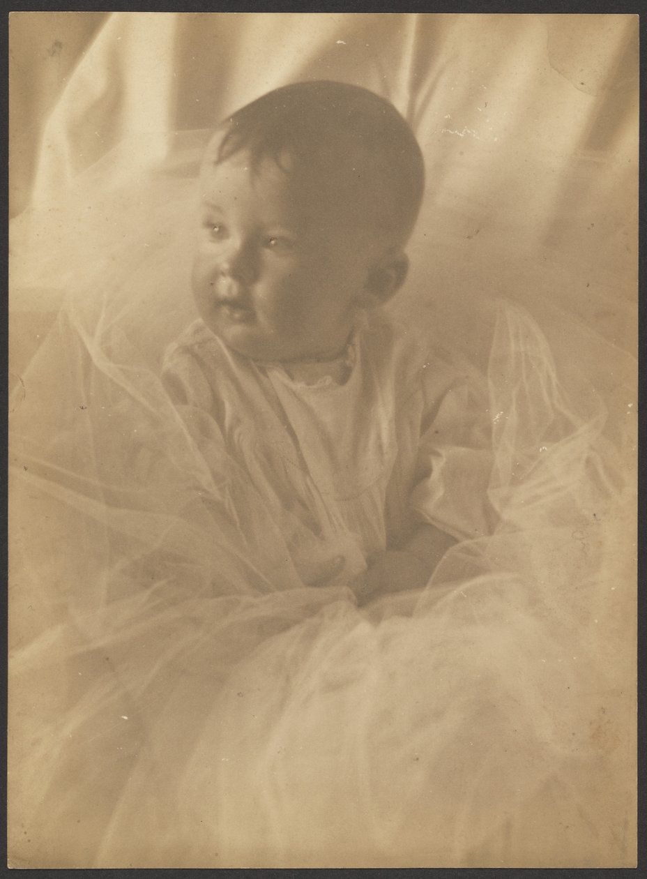 [Ritratto di un neonato circondato da tulle] da Louis Fleckenstein