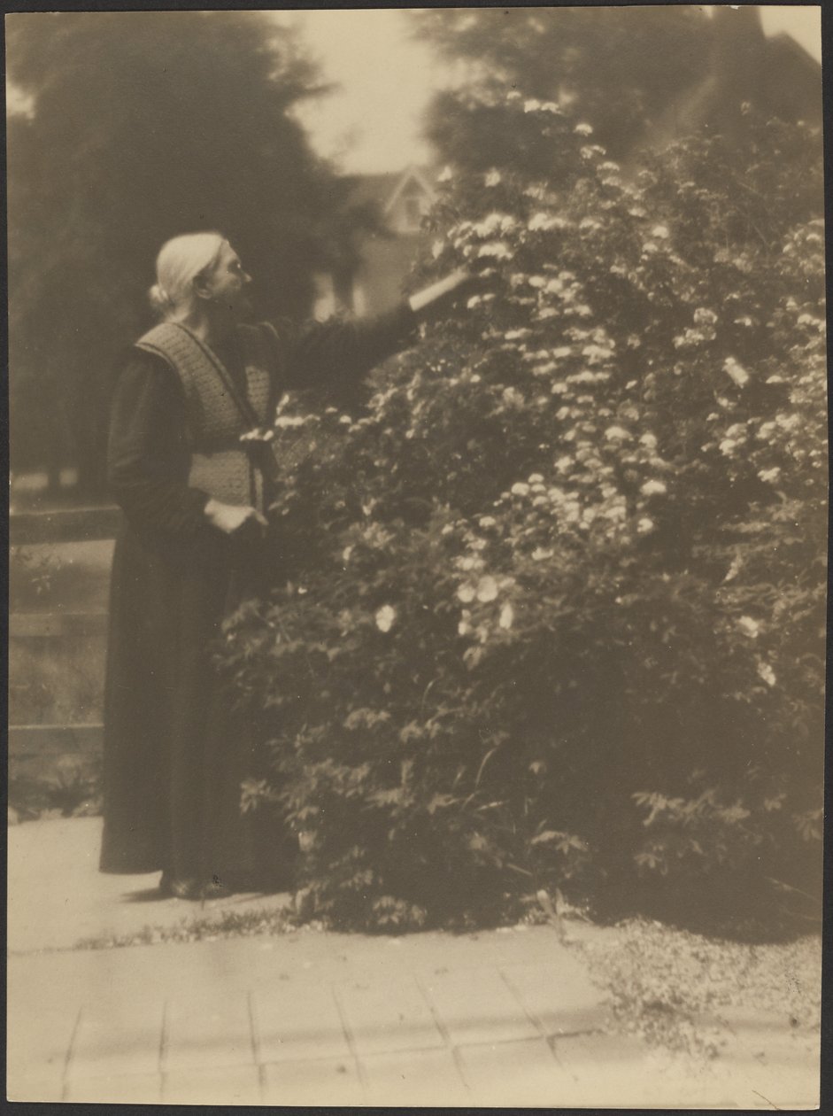 [Ritratto di una donna che raccoglie fiori] da Louis Fleckenstein