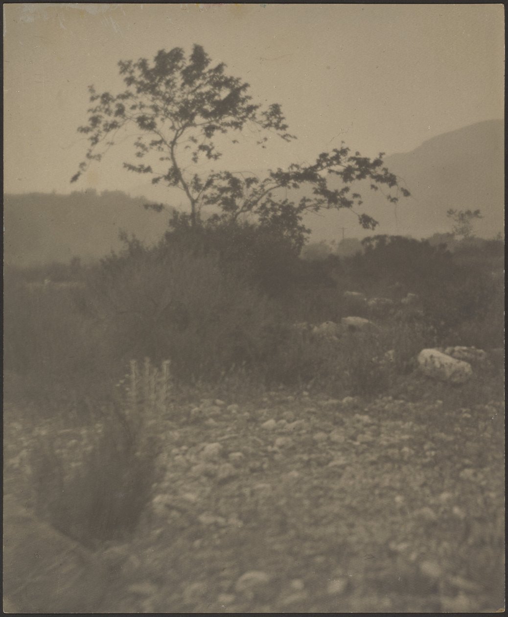[Paesaggio roccioso] da Louis Fleckenstein