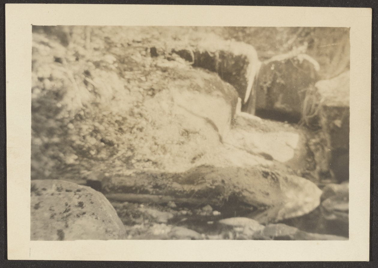 [Paesaggio roccioso] da Louis Fleckenstein