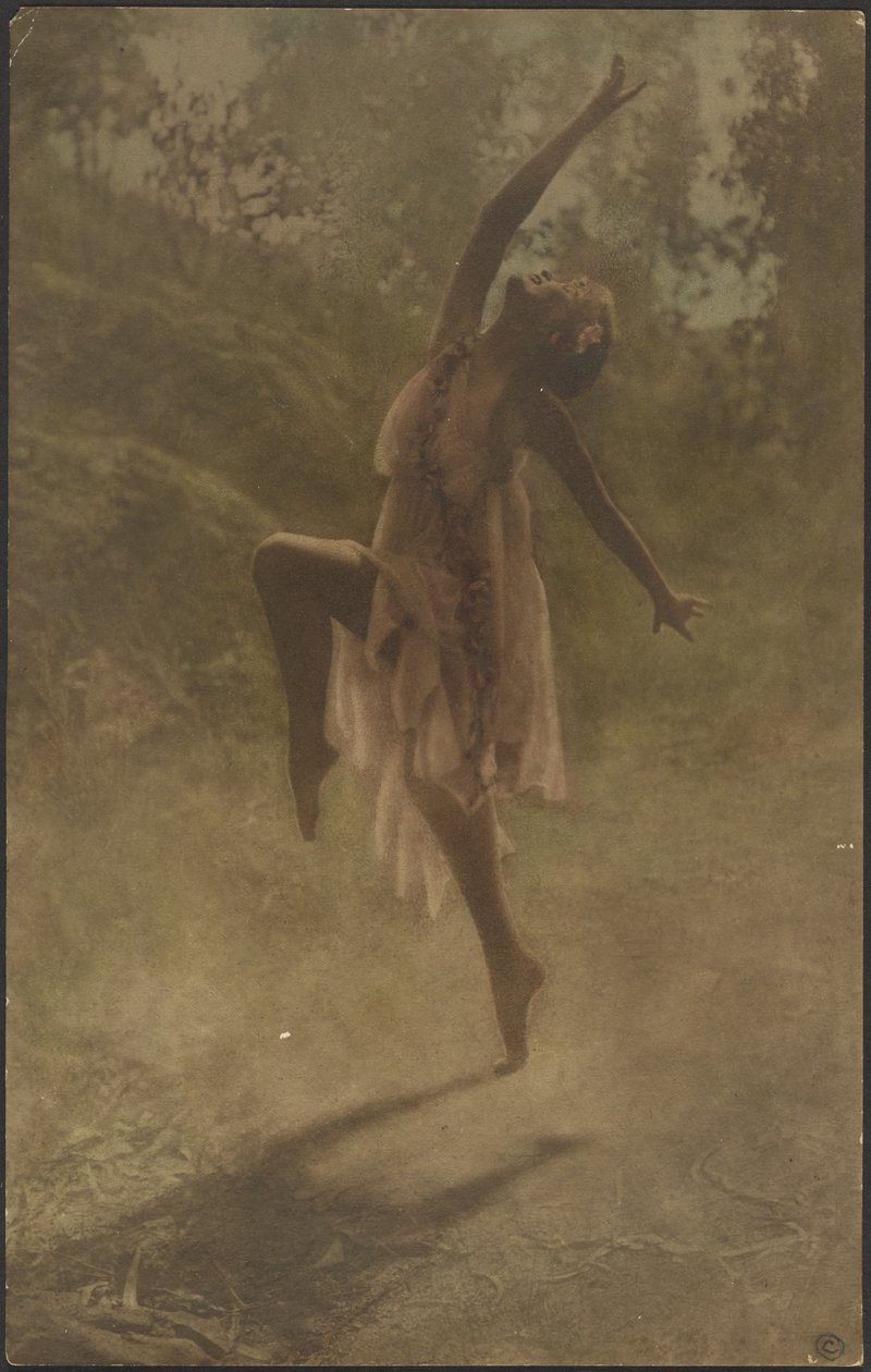 Danza delle rose del Sud da Louis Fleckenstein