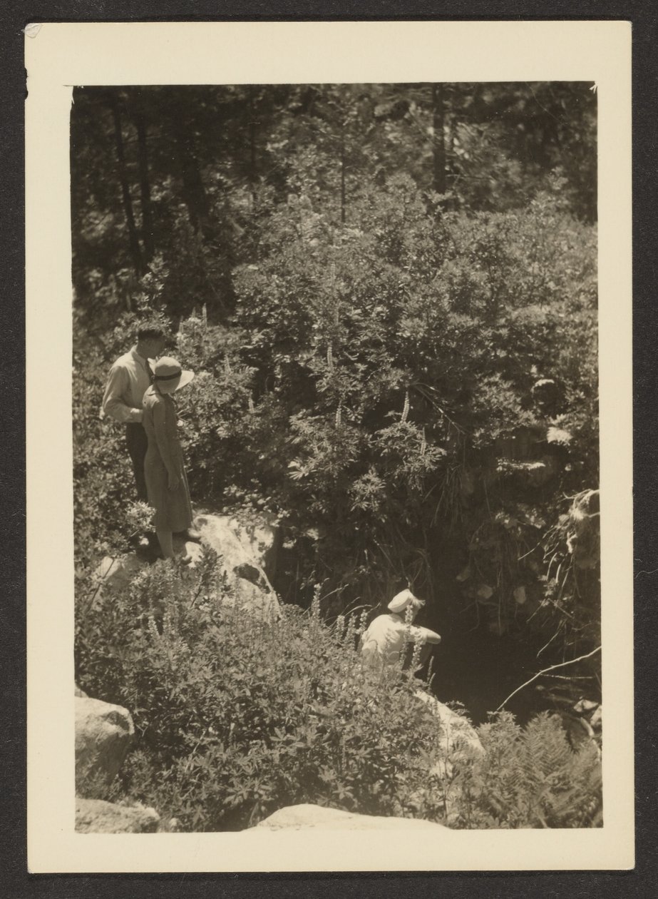 [Primavera a Fern Valley] da Louis Fleckenstein