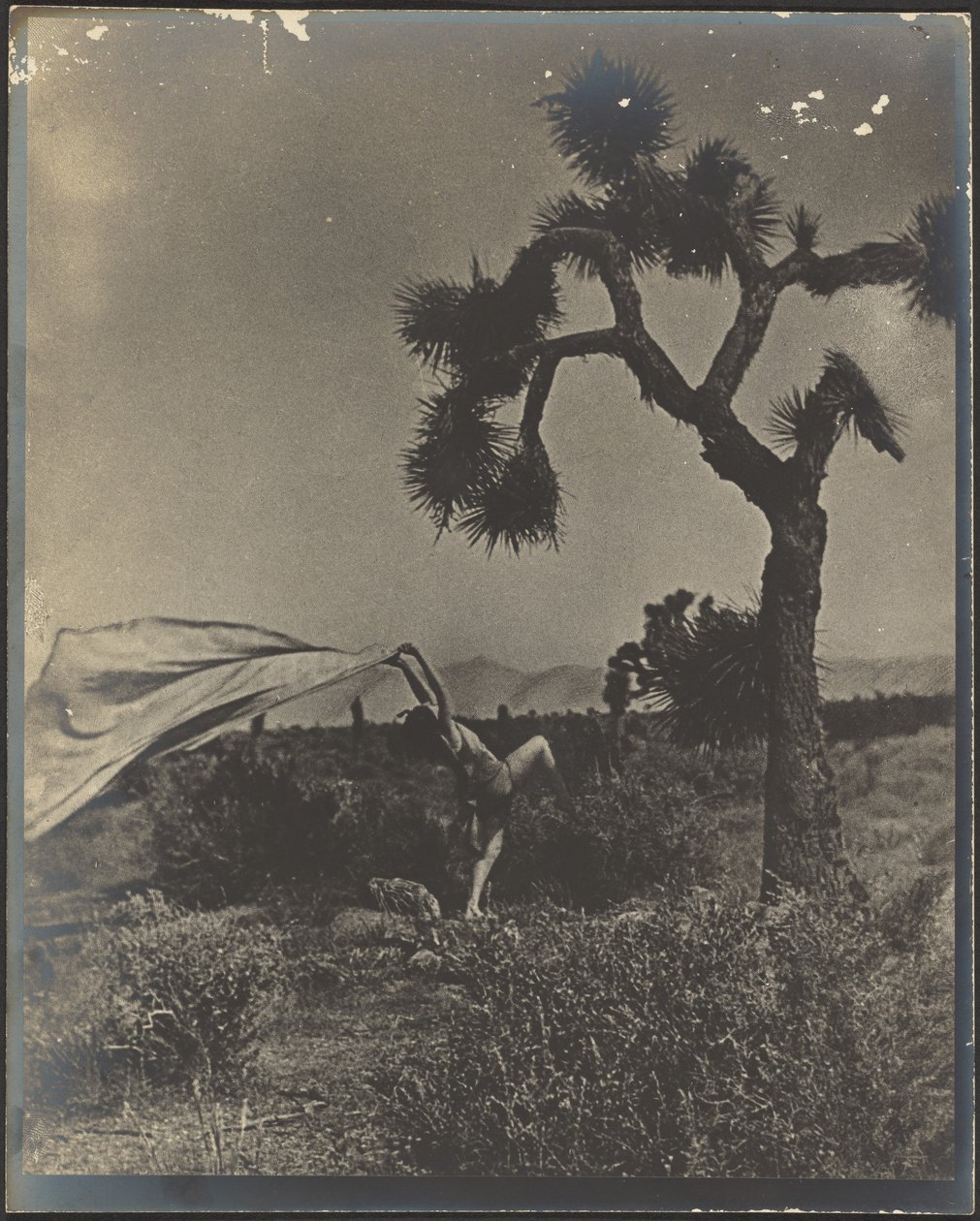 Il vento del deserto da Louis Fleckenstein