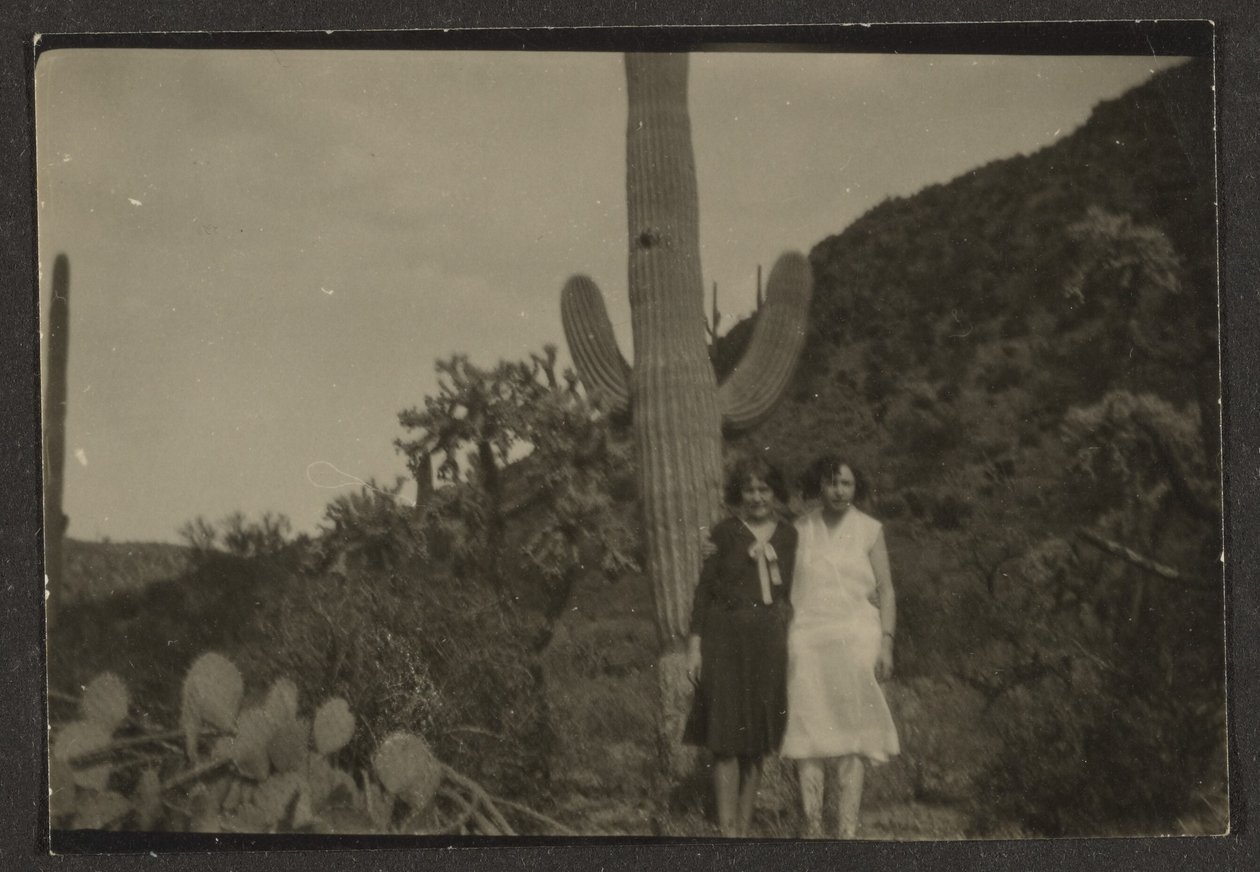 Due donne davanti a un cactus da Louis Fleckenstein