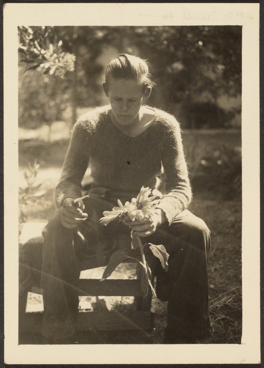 [Donna che tiene in mano dei girasoli] da Louis Fleckenstein