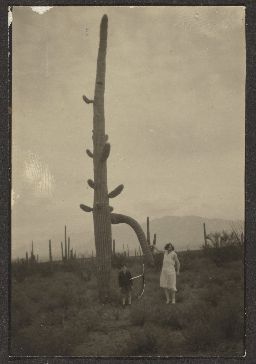 [Donna e bambino con cactus] da Louis Fleckenstein