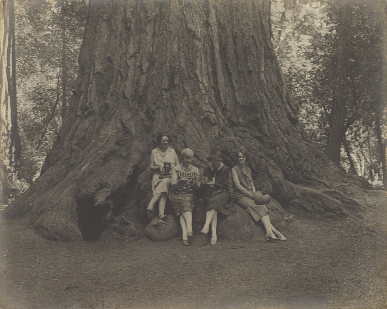 [Donne con telecamere alla base di un albero]. da Louis Fleckenstein