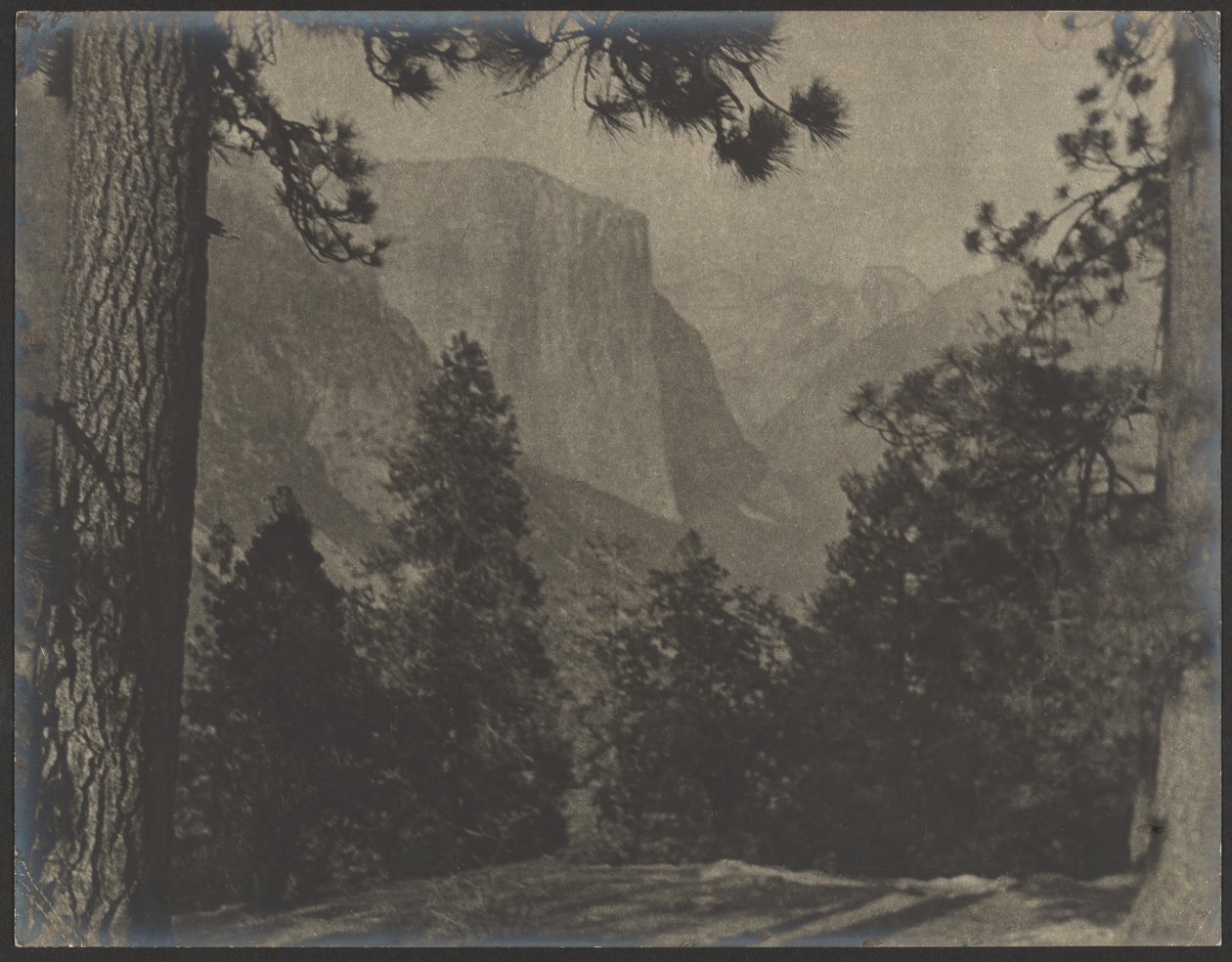 Yosemite, tra i pini da Louis Fleckenstein