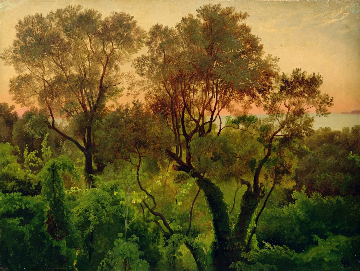 Pendio con alberi di ulivo da Louis Gurlitt