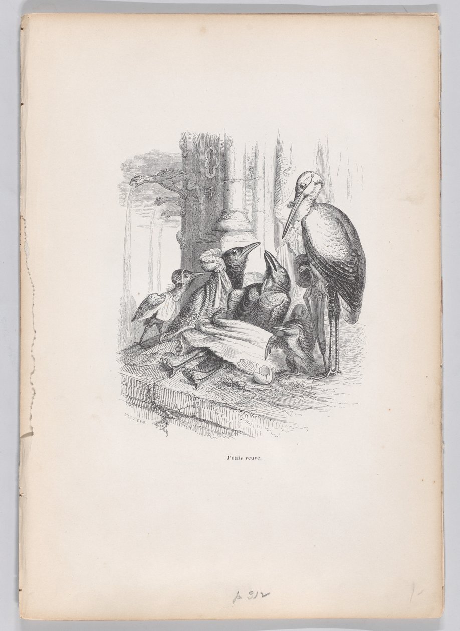Ero una vedova da Scene della vita privata e pubblica degli animali, ca. 1837-47 da Louis Henri Brévière