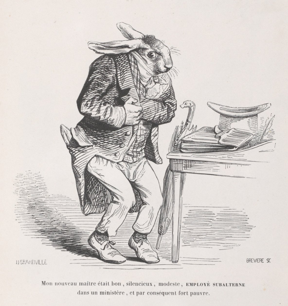 Il mio nuovo padrone da Scene della vita privata e pubblica degli animali da Louis Henri Brévière