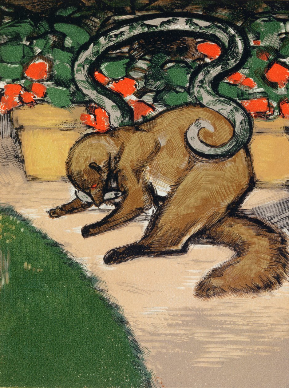 Rikki-Tikki-Tavi, illustrazione da "Il libro della giungla" di Rudyard Kipling (1965-1936) pubblicata a Parigi da Louis Joseph Soulas