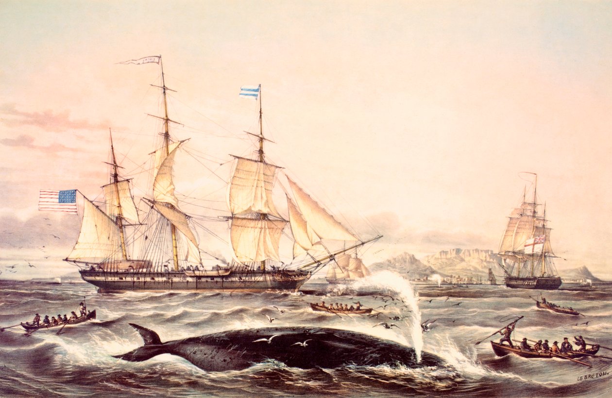 Caccia alla balena al Capo di Buona Speranza da Louis Le Breton