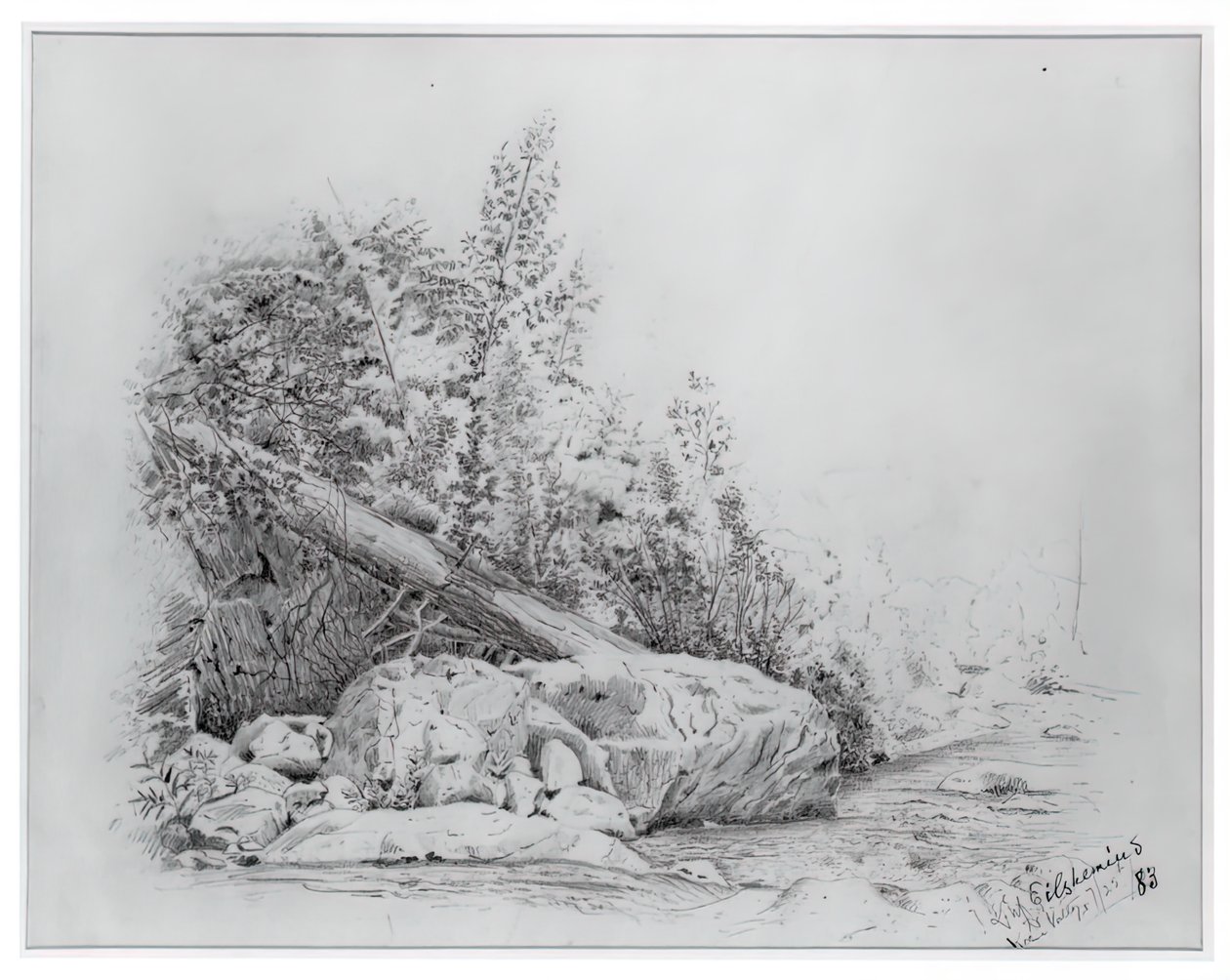 Albero caduto, Keene Valley, 25 luglio 1883 da Louis Michel Eilshemius