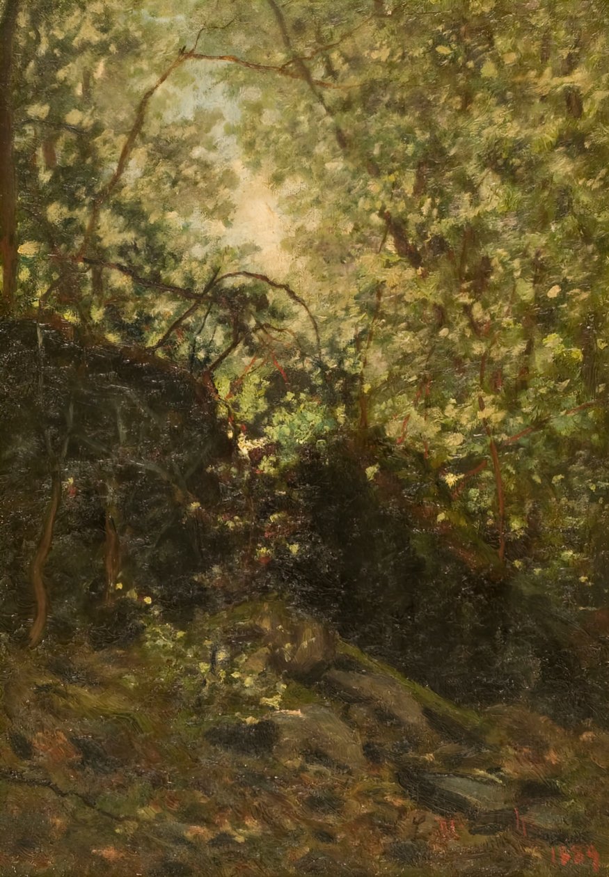 Notte nella foresta da Louis Michel Eilshemius