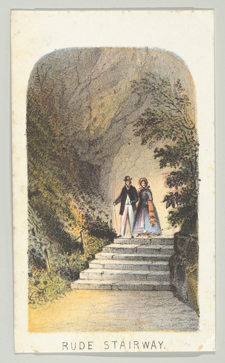 Scala Rude, dalla serie, Vedute di Central Park, New York, Parte 2, 1864 da Louis Prang