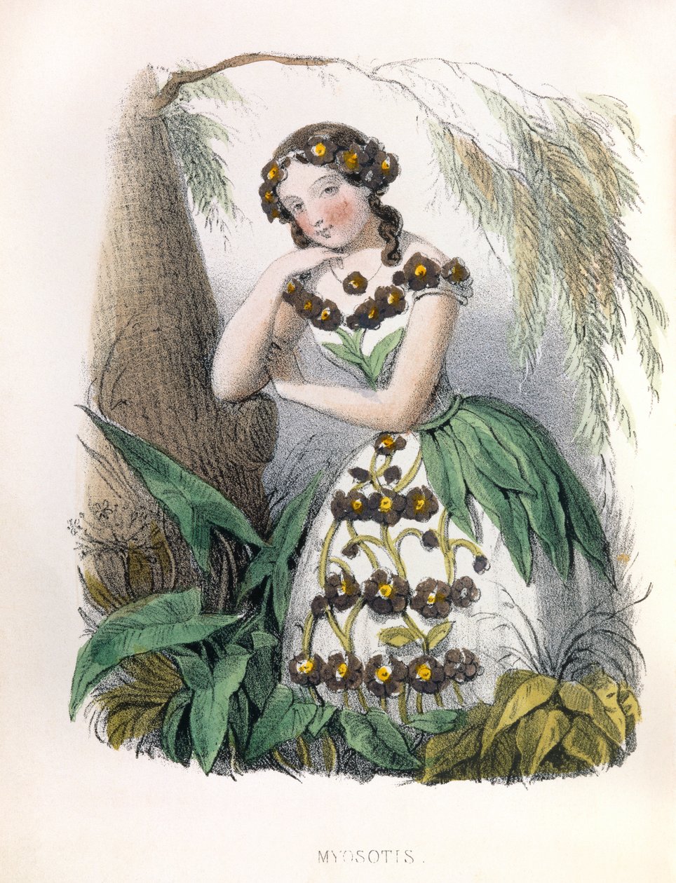  da Louis Simon (1810-1870) Lassalle