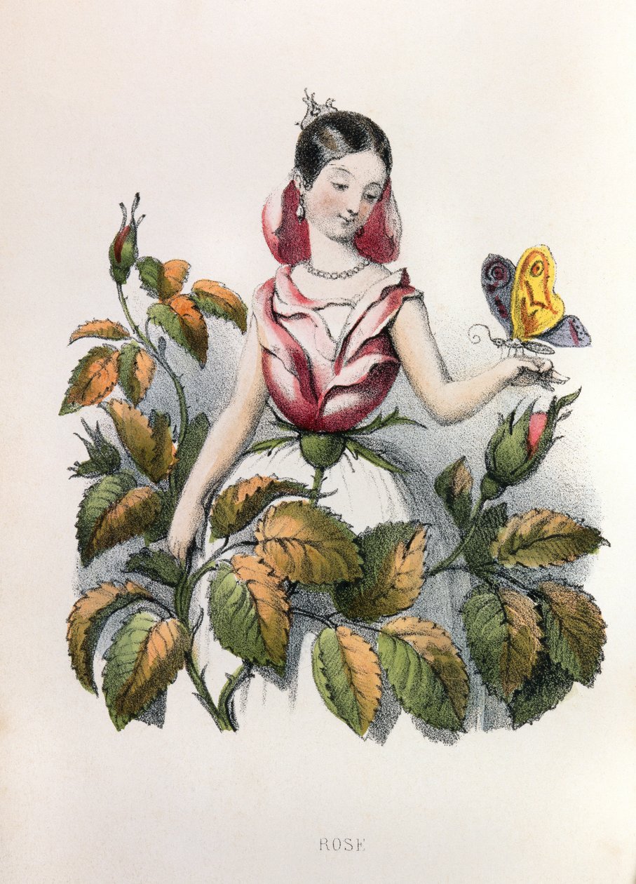  da Louis Simon (1810-1870) Lassalle