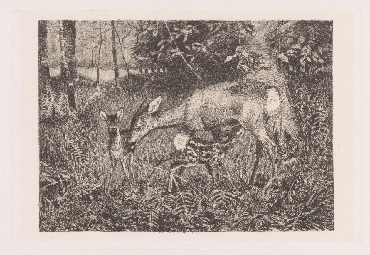 Cervo con due cuccioli (Rehfamilie) da Louis Theodor Lindblohm