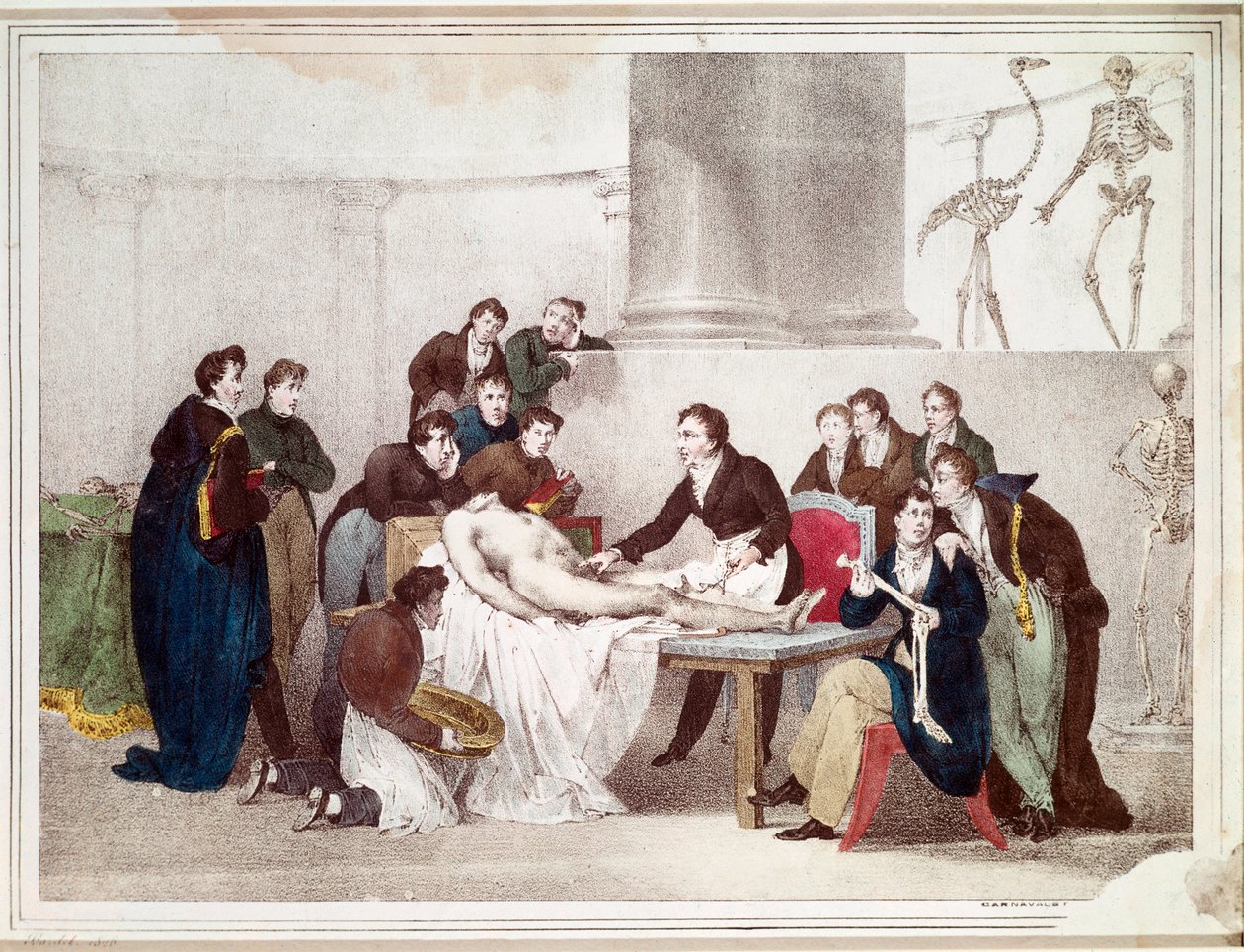 La lezione di anatomia da Louis Thomas Bardel