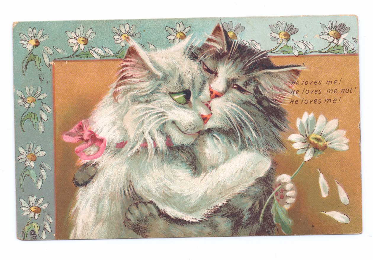 Cartolina edoardiana di due gatti che si abbracciano, c.1910 da Louis Wain