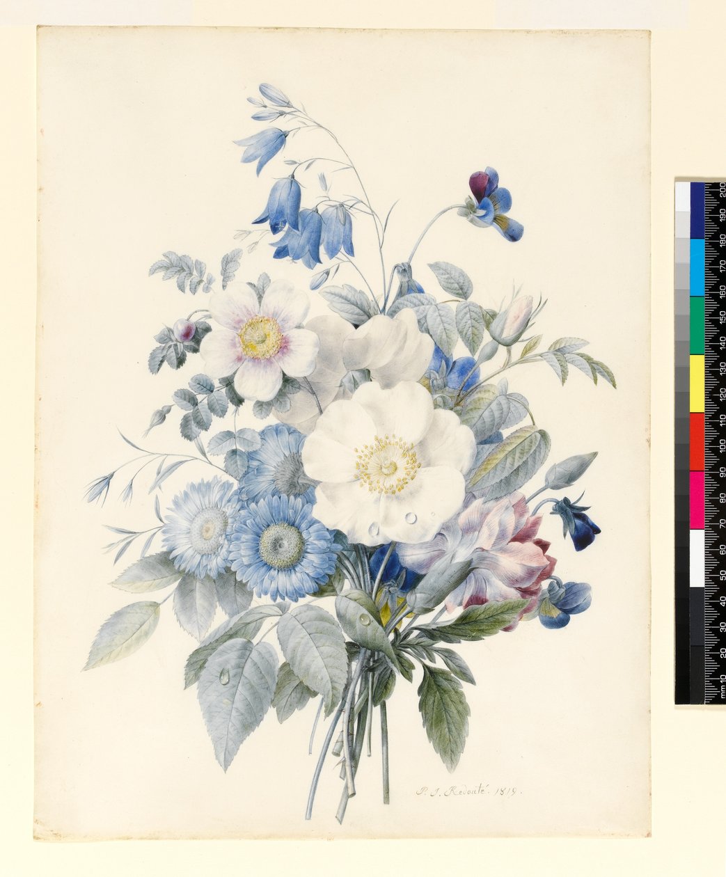 Un ramo di fiori estivi, 1820 da Louise DOrleans