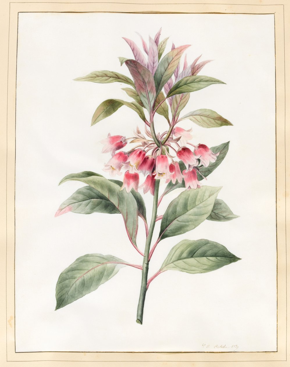 Senza nome, 1827 da Louise DOrleans