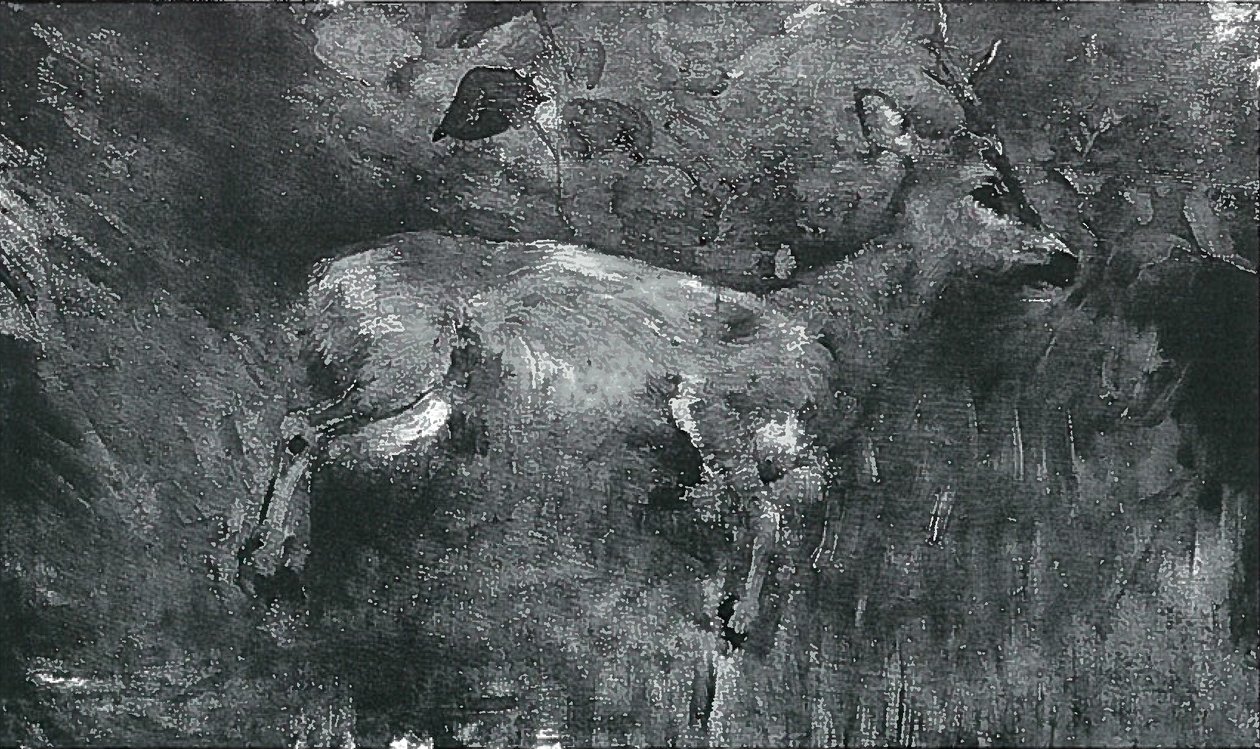 Capriolo morto da Lovis Corinth