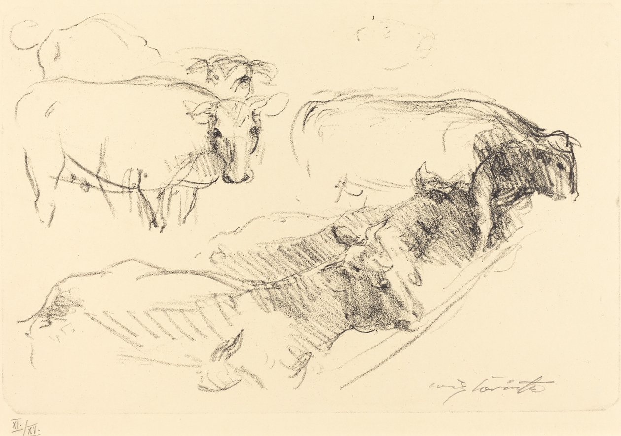 Mucche, 1910 da Lovis Corinth