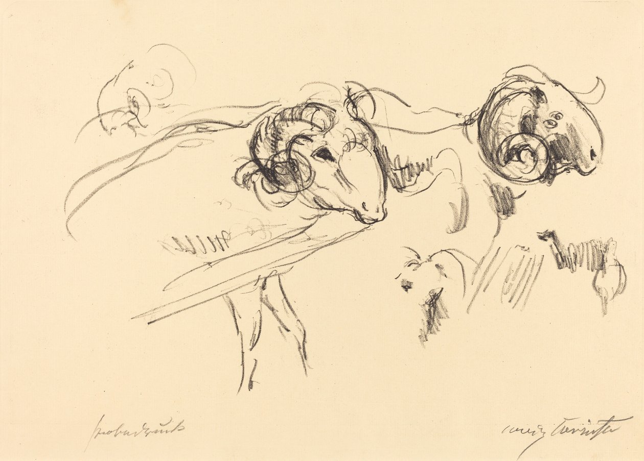 Arieti da Lovis Corinth