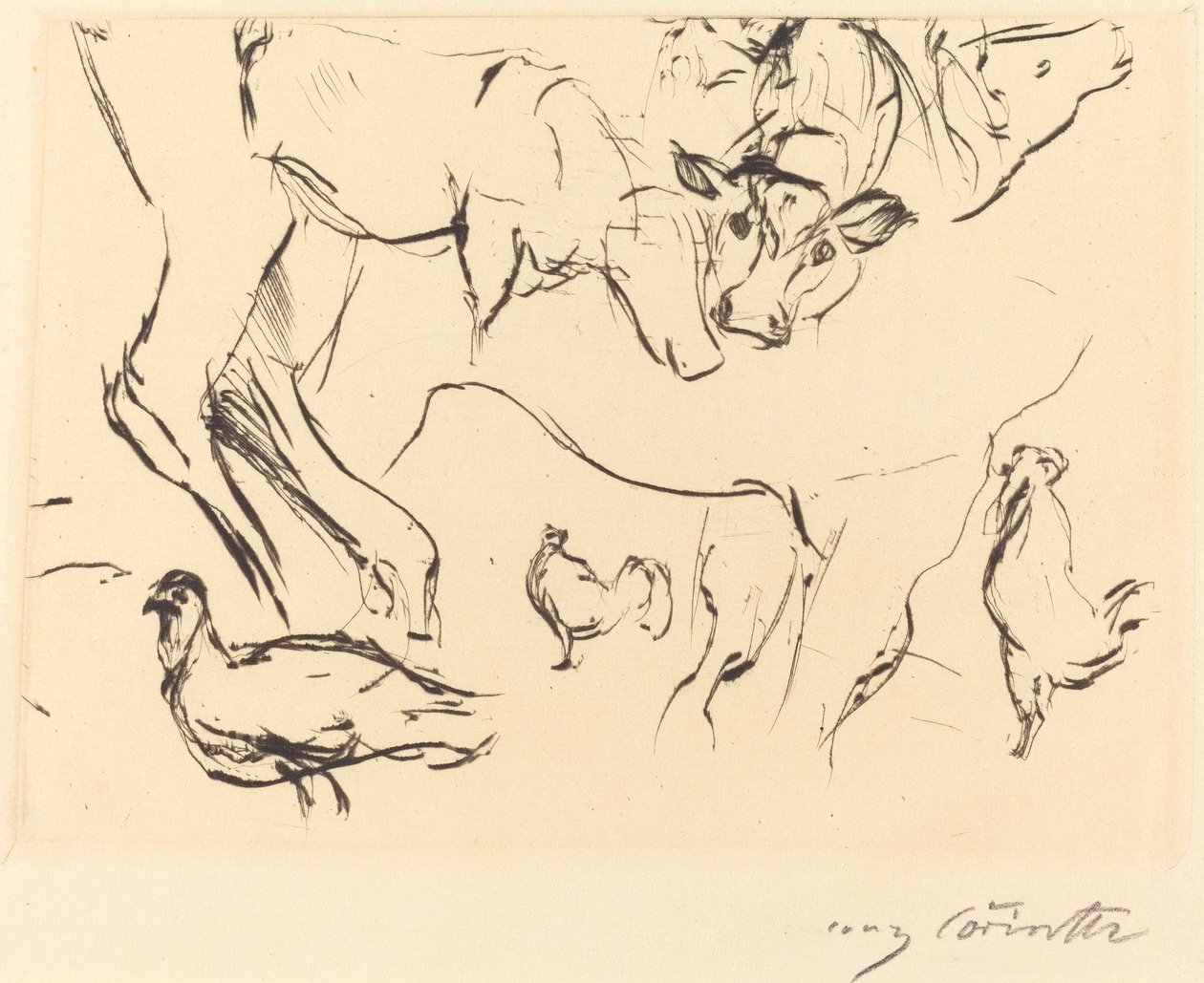 Studi di animali da Lovis Corinth