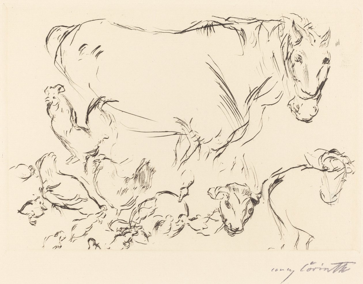 Verschiedene Tierstudien, 1917 da Lovis Corinth