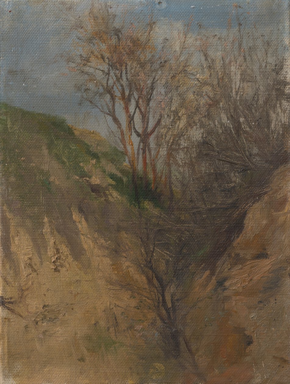 Fossato da Laszlo Mednyanszky