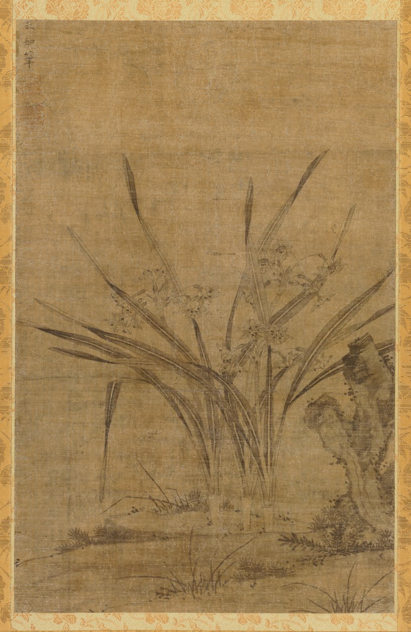 Narciso e rocce da Lu Tianru