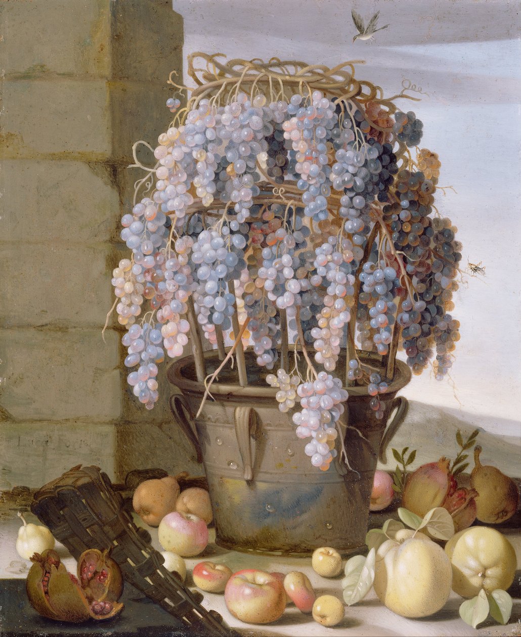 Natura morta con uva e altra frutta da Luca Forte