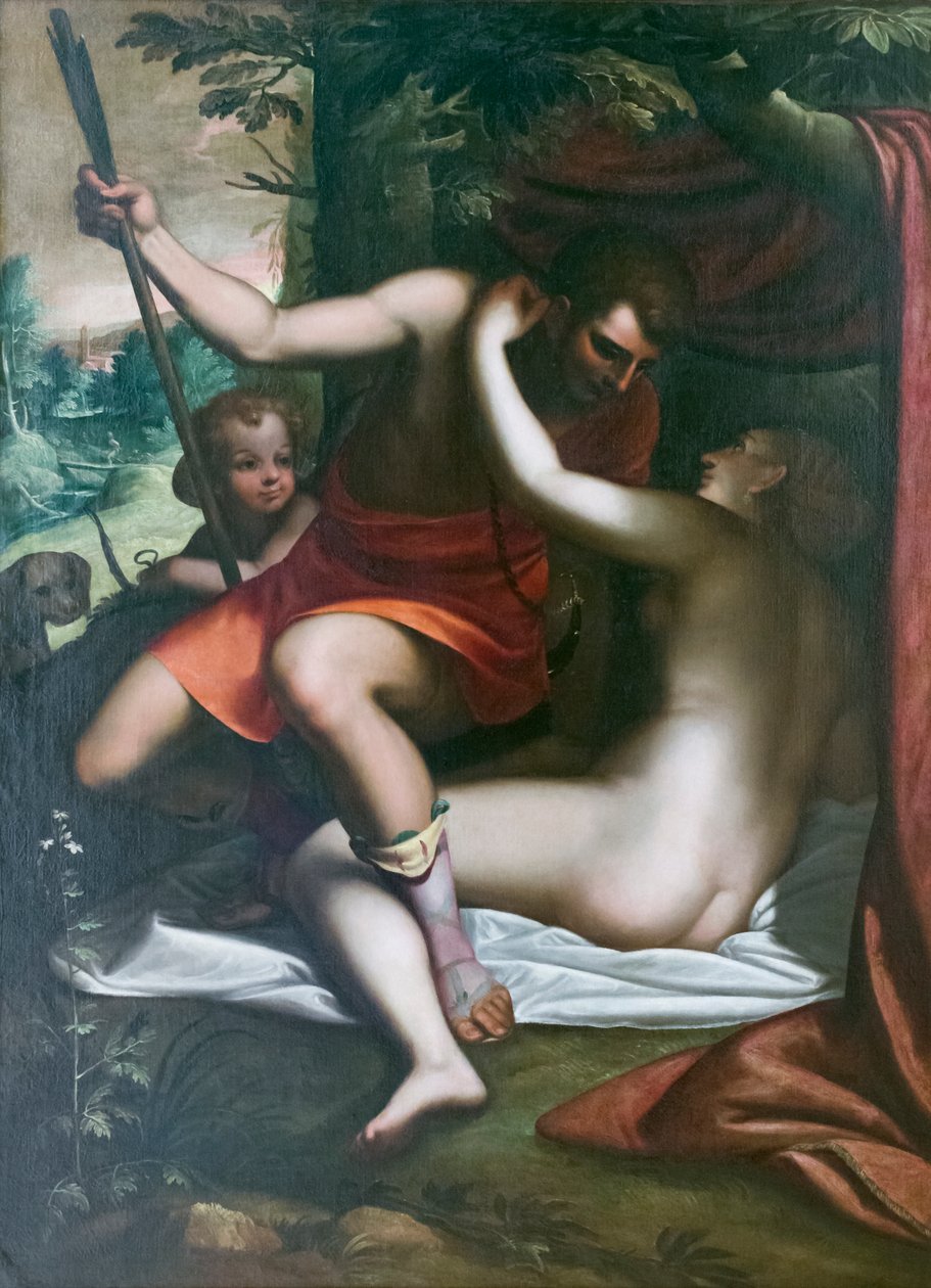 Venere e Adone da Luca Cambiaso