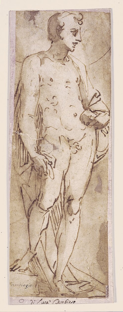 Giovane con mantello in piedi in una nicchia da Luca Cambiaso