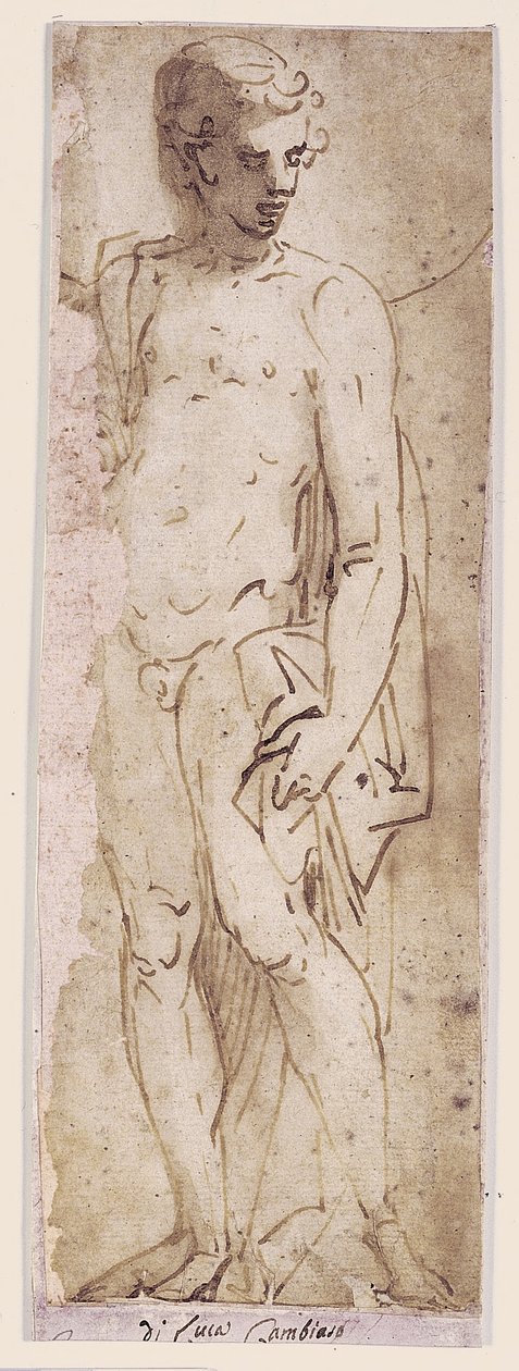 Giovane con Mantello in Piedi in una Nicchia da Luca Cambiaso