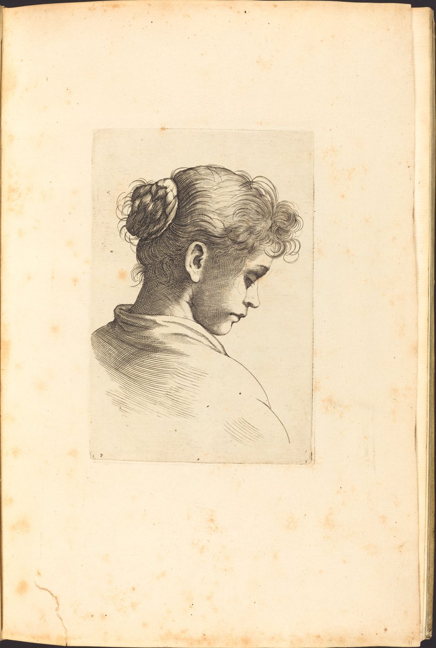 Stampa dal libro di disegni da Luca Ciamberlano