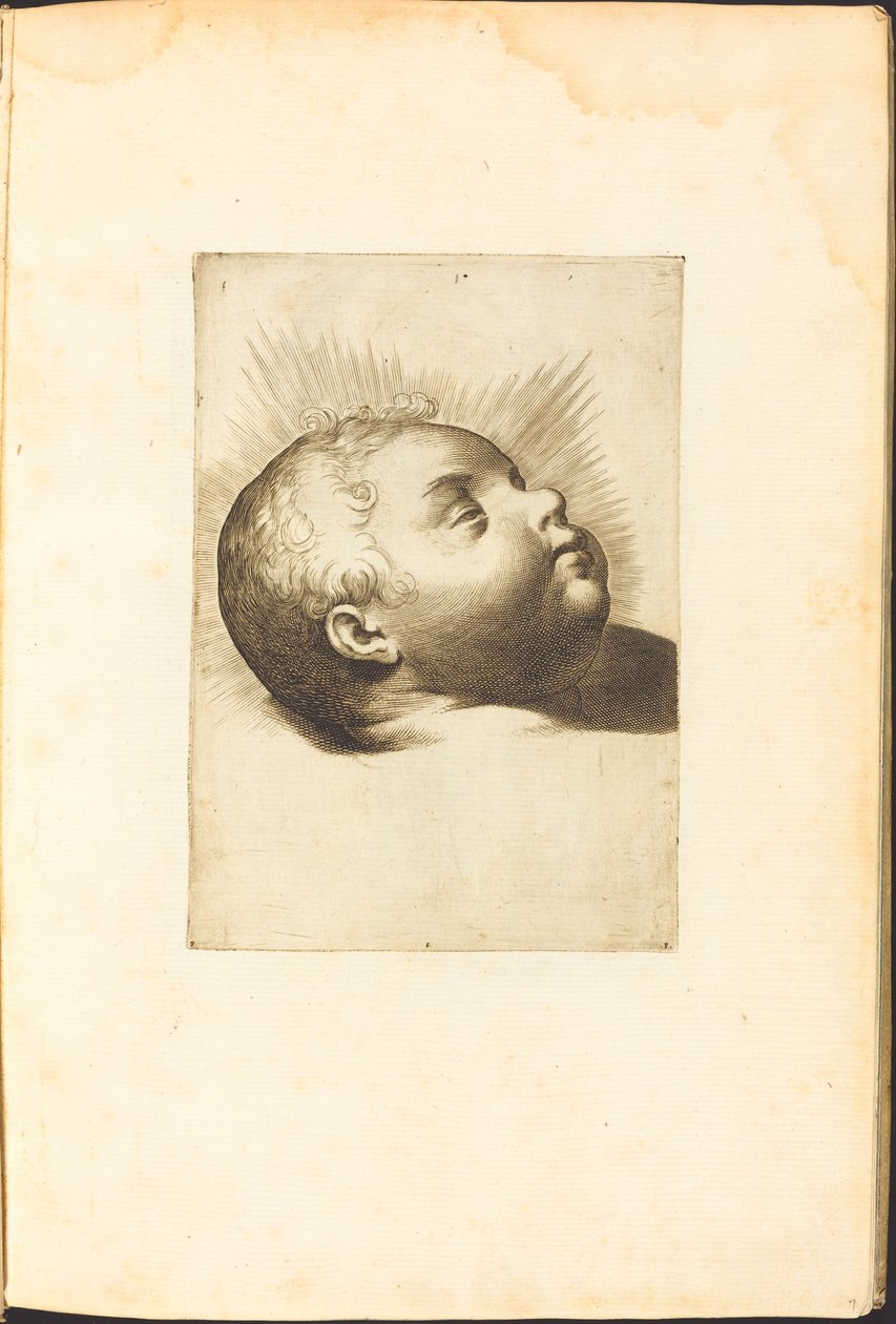 Stampa dal libro di disegni da Luca Ciamberlano