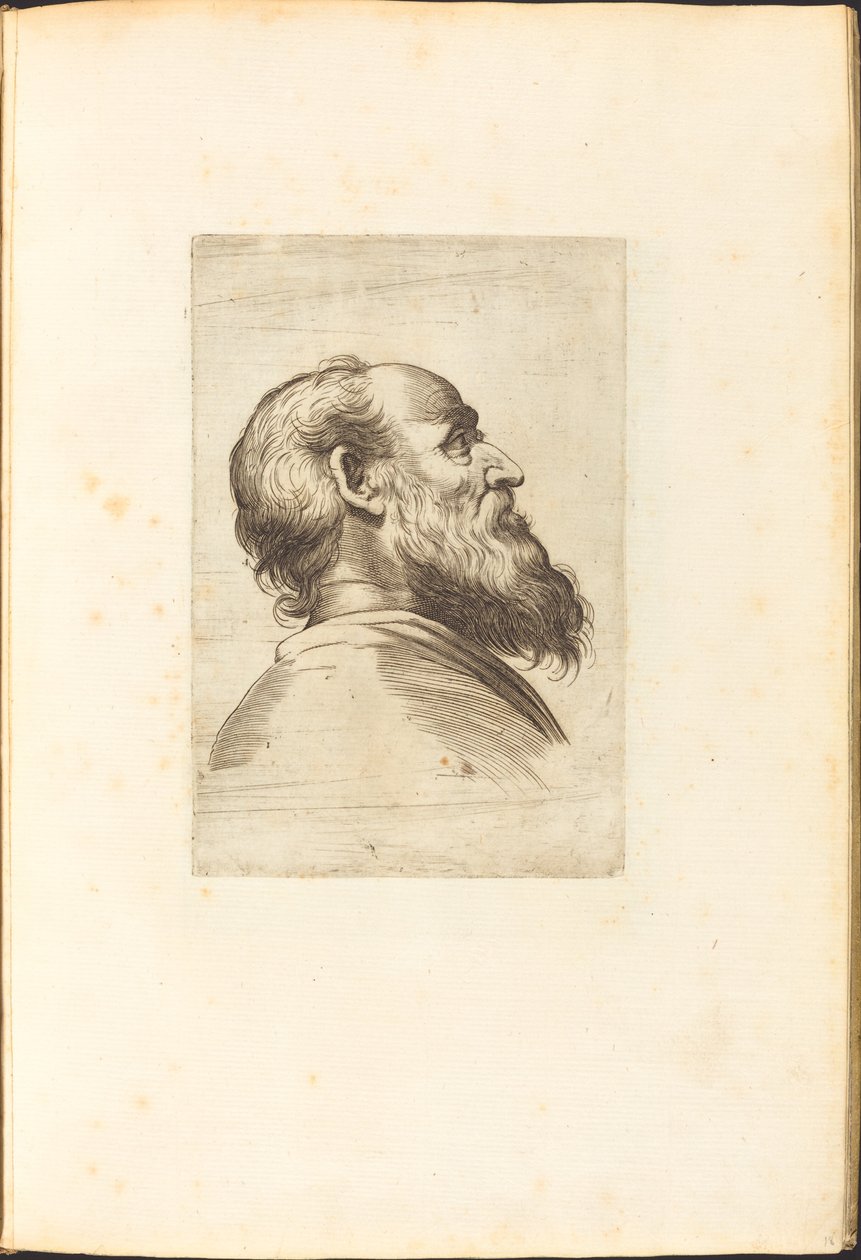 Stampa dal libro di disegni da Luca Ciamberlano